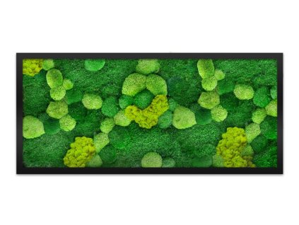 mix druhu mechu fotka na eshop