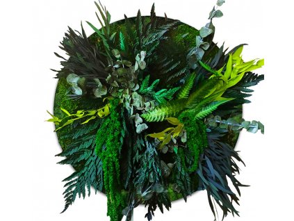 mechlevne mechový obraz JUNGLE kulatý