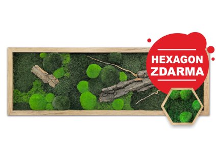 mechlevne dřevina akce 02 hex