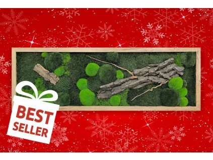 mechlevne mechovy obraz s kurou 03 vánoce