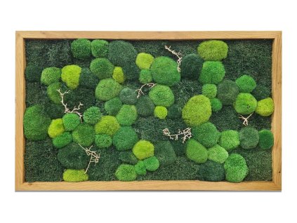 mechlevne mechovy obraz 100cm 01