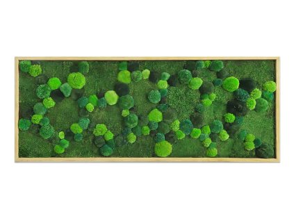 mechovy obraz 80x200