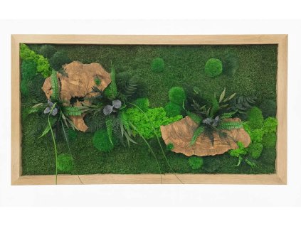 mechovy obraz oliva 50x100 cm mdf dub