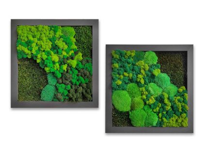 mech levne sada čtverců sobi mech