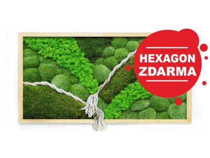 mech levne mechovy obraz s lanem uvodní foto hex