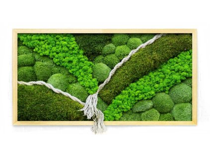 mech levne mechovy obraz s lanem uvodní foto