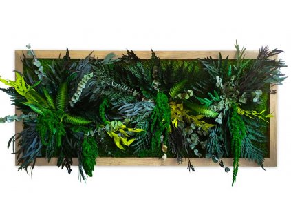 mechlevne mechový obraz JUNGLE