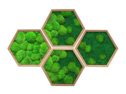 hexagon kopečkový plochý serie 4ks 02