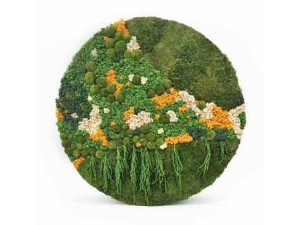 mechlevne mechový obraz orange