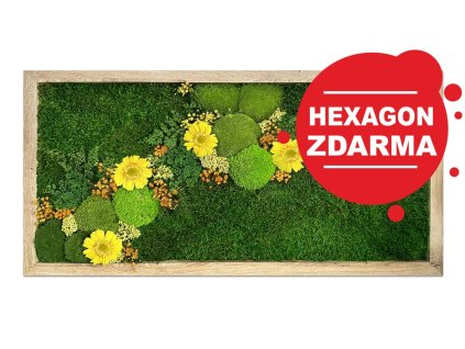 mechlevne kvetiny mechovy obraz SUNRISE hex