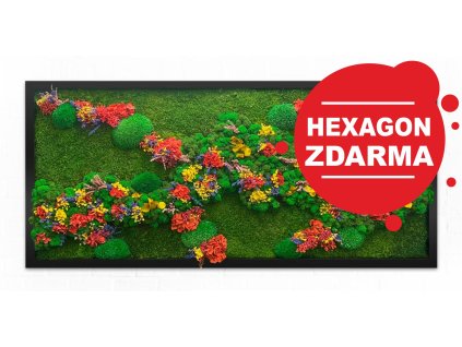 květinový obraz červený 01 hex