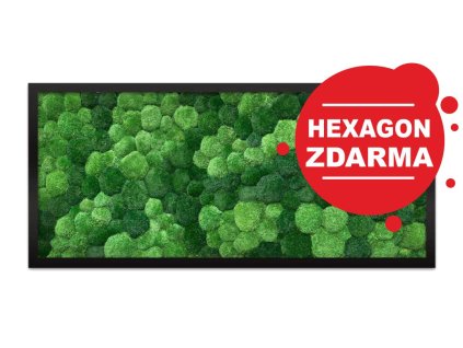 mech levne cz dubový rám podlouhlý hadi úvodní foto hex