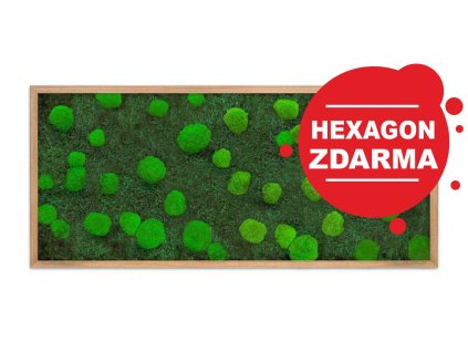 klasik rozměr na eshop úvodnísvětlý varianta dub new hex