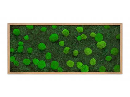 klasik rozměr na eshop úvodnísvětlý varianta dub new