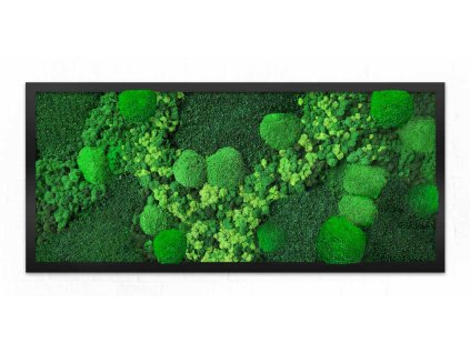 abstrakce mechu klasicky delší světlejší