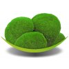 Kopečkový mech Ballmoss středně zelený