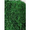 qualimoss faltmtmoss dark green detail