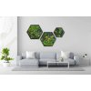 mechlevne BLOOM hexagon set interier