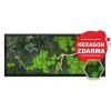 mechlevne mechovy obraz s vetvi hranaty hexagon zdarma