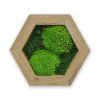 hex nový mdf dárek