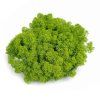 Finský sobí mech -  světle zelená