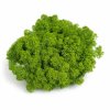 Finský sobí mech -  světle zelená