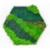 Hexagon mechlevne 05 nová zelená