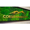 Qualimoss Corco led rohovy logo