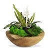 mechlevne ikebana product zelená