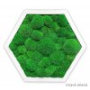 hexagon mechlevne tmavě zelený bílý rám
