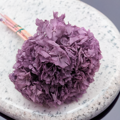 Sušené a stabilizované květiny – přírodní krása, která nepomíjí