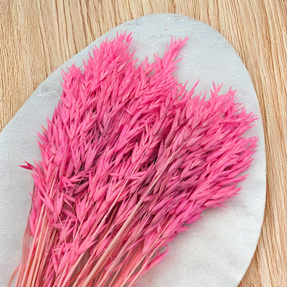 Sušený oves - přírodní krása u vás doma