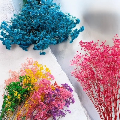 Nová řada ROYAL by Enchanted® – přírodní krása v Premium verzi