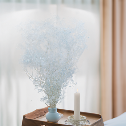 Stabilizovaný Šater (Gypsophila) – Must-Have ve světě dekorací a floristiky