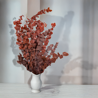 Stabilizovaný Eukalyptus – Do vázy i do věnce