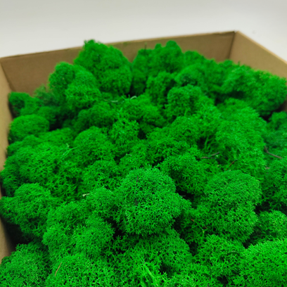 Nejdůležitějších informací o sobím mechu – vše, co potřebujete vědět!