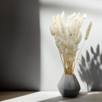 Lagurus bělený a piškotový – přírodní dekorace do interiéru, která nevyjde z módy