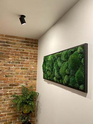 Mechová stěna - kreativní přístup k aranžmá v modrením stylu