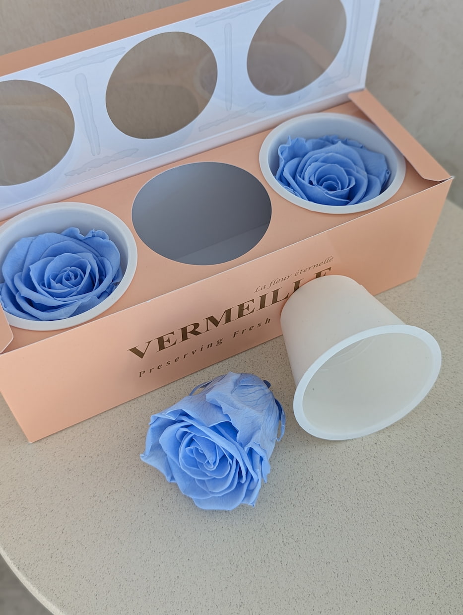 Stabilizované růže