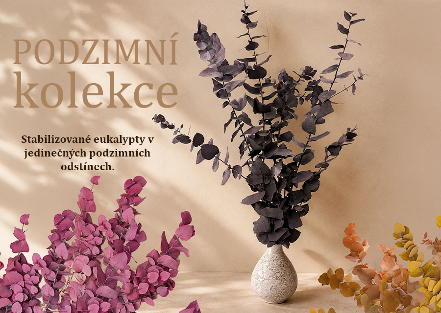 PODZIMNÍ kolekce