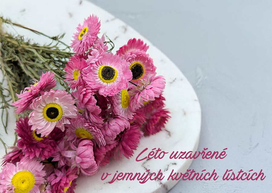 Léto uzavřené  v jemných květních lístcích