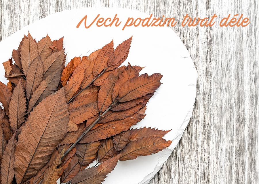 Nech podzim trvat déle