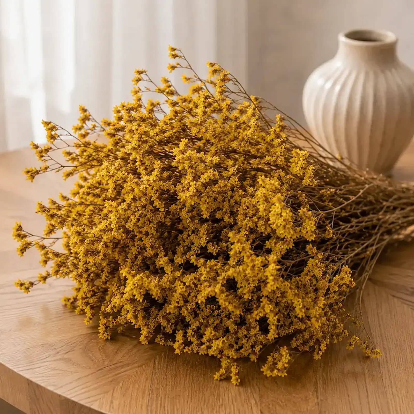Stabilizované Limonium Sinense