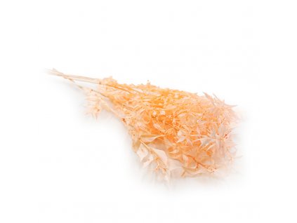 Ruskus peach okladka