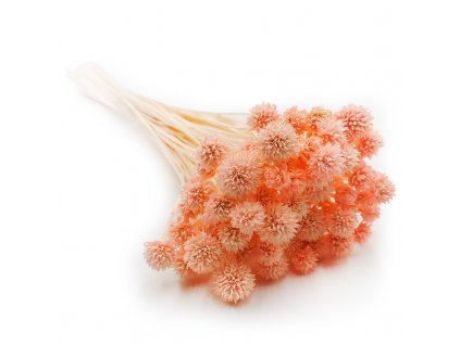 Hill flower peach okladka