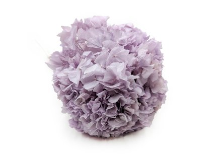 Stabilizovaná hortenzie (Hydrangea) - Lila - Kytice