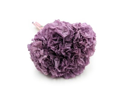 Stabilizovaná hortenzie (Hydrangea) - Fialová - Kytice