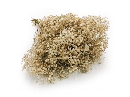 Stabilizovaná Gypsophila Bíla PREMIUM (gypsophila) - kytice