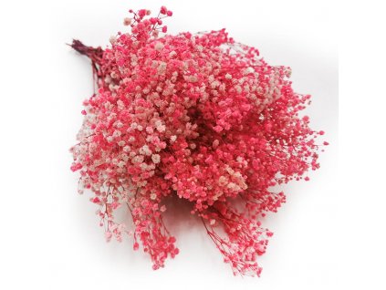 Stabilizovaná Gypsophila candy růžová PREMIUM (gypsophila) - kytice