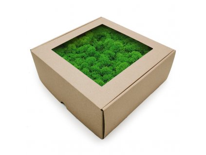 Sobí mech Finský čištěný premium - Letní zelený - 500g
